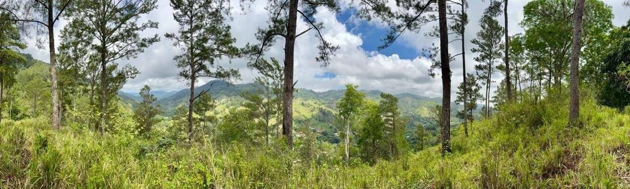 Solares de montaña en Jarabacoa